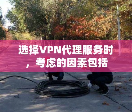 选择VPN代理服务时，考虑的因素包括