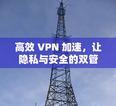 高效 VPN 加速，让隐私与安全的双管齐下的加密世界