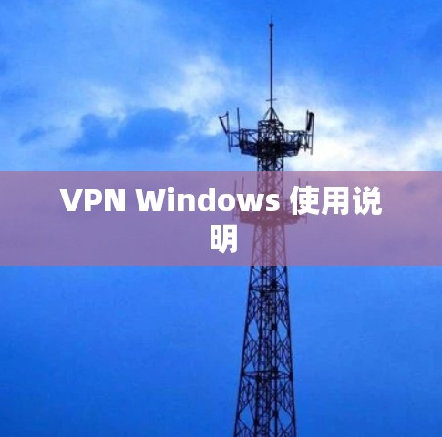 VPN Windows 使用说明