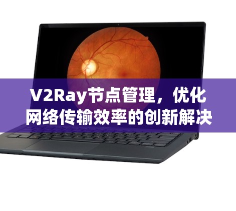 V2Ray节点管理，优化网络传输效率的创新解决方案