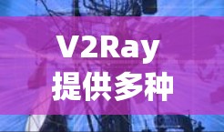 V2Ray 提供多种高速服务器解决方案，适合不同用户的需求。以下是几个推荐的类型和推荐选项