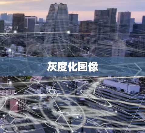 灰度化图像