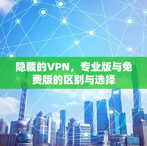 隐藏的VPN，专业版与免费版的区别与选择