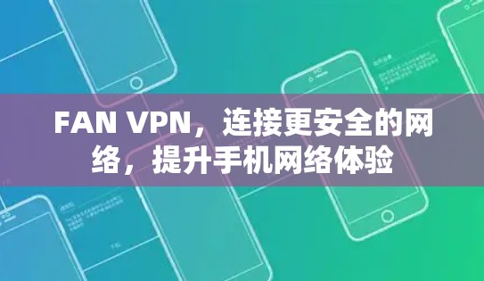 FAN VPN，连接更安全的网络，提升手机网络体验