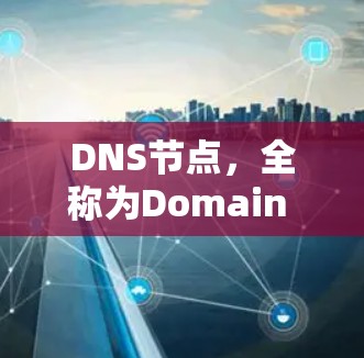 DNS节点，全称为Domain Name Service（DNS服务）是网络中用于管理域名资源的关键服务器。其核心功能包括