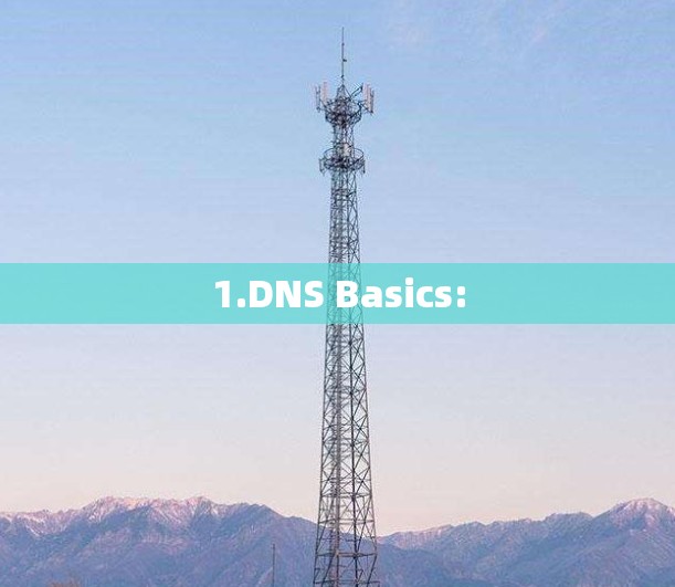 1.DNS Basics: