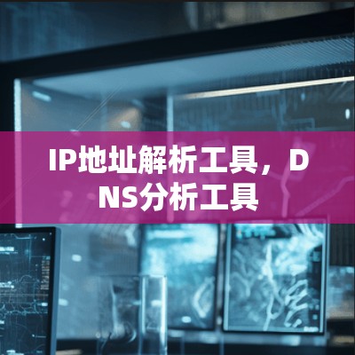 IP地址解析工具，DNS分析工具