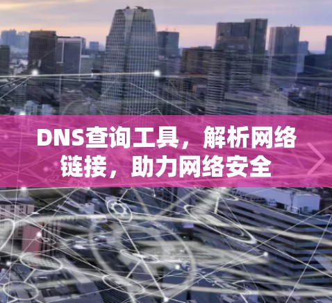DNS查询工具，解析网络链接，助力网络安全