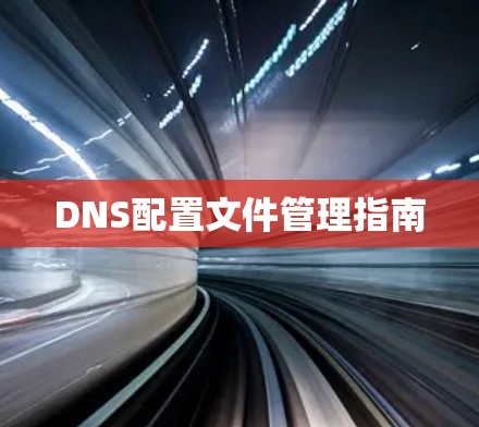 DNS配置文件管理指南