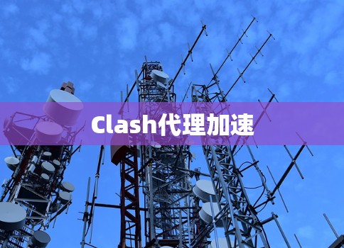 Clash代理加速