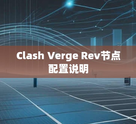 Clash Verge Rev节点配置说明