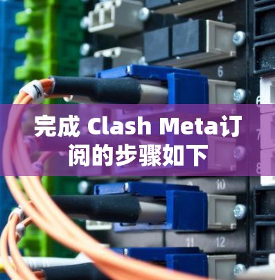 完成 Clash Meta订阅的步骤如下