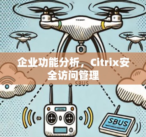 企业功能分析，Citrix安全访问管理