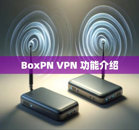 BoxPN VPN 功能介绍