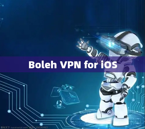 Boleh VPN for iOS