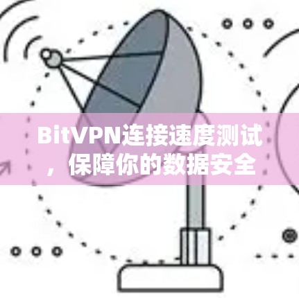 BitVPN连接速度测试，保障你的数据安全与稳定
