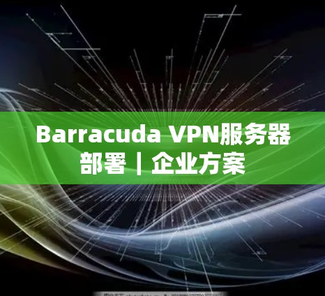 Barracuda VPN服务器部署｜企业方案